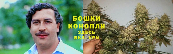 spice Володарск