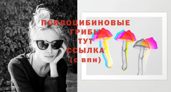 мдпв Волосово