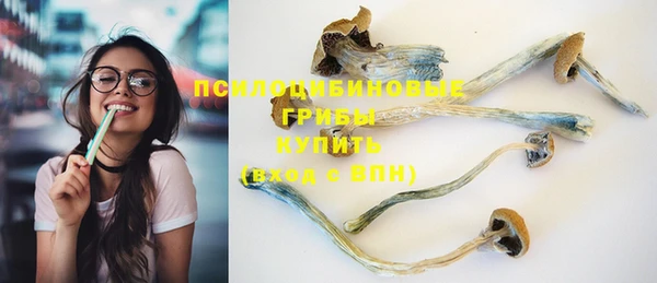 дмт Тайга