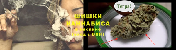 мдпв Волосово